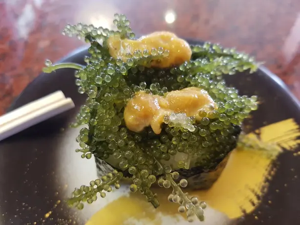 Cook Snap von kochcode-team