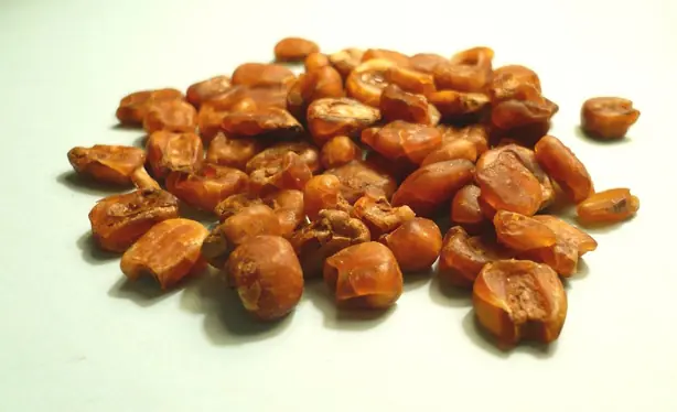 Cook Snap von kochcode-team