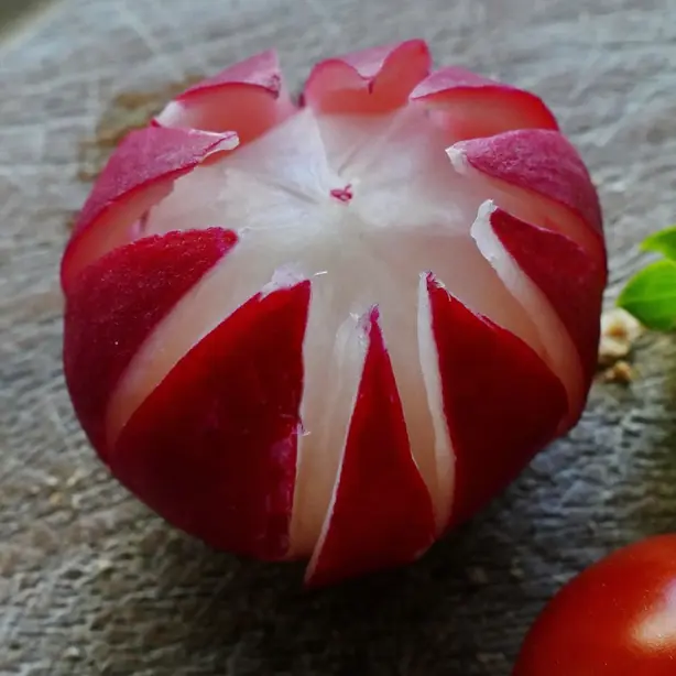 Cook Snap von kochcode-team