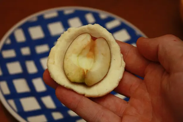 Cook Snap von kochcode-team