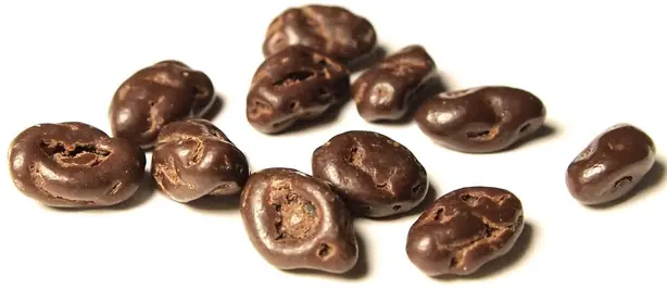 Foto von Amerikanische Schoko-Rosinen klassisch – fertig angerichtet