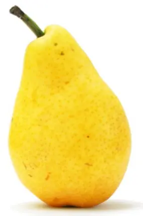 Foto von Gebackene Williamsbirnen mit Vanille – fertig angerichtet