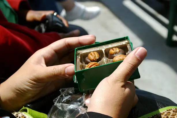 Cook Snap von kochcode-team