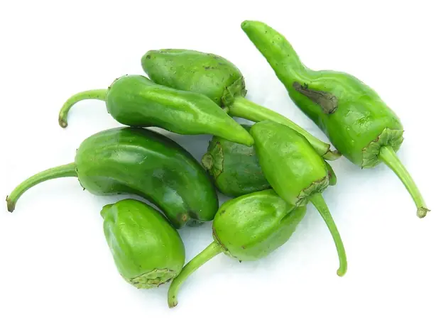 Foto von Spanische Pimientos de Padrón klassisch – fertig angerichtet