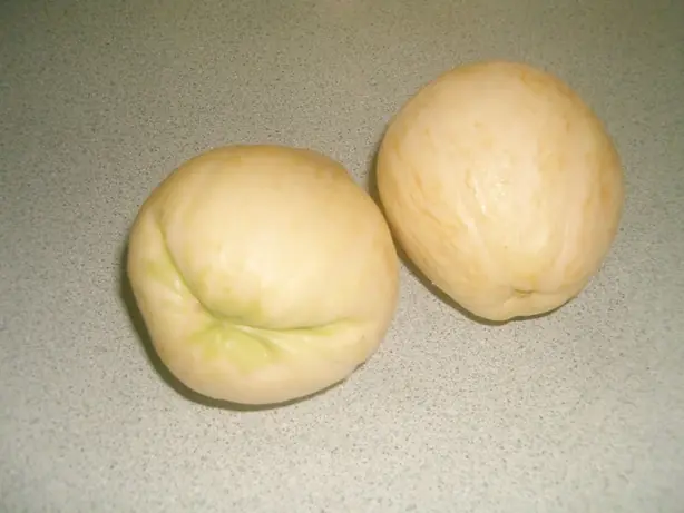 Cook Snap von kochcode-team