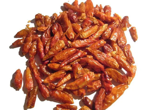 Cook Snap von kochcode-team