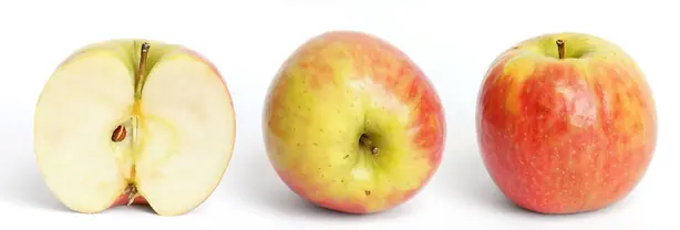 Foto von Deutscher Apfelkuchen mit Streuseln – fertig angerichtet