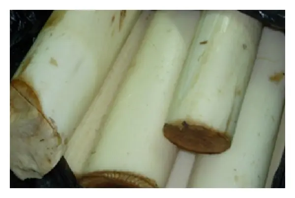 Cook Snap von kochcode-team