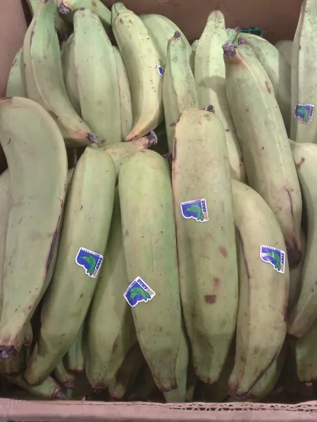 Cook Snap von kochcode-team