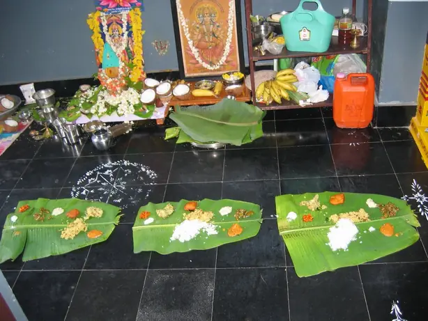 Cook Snap von kochcode-team