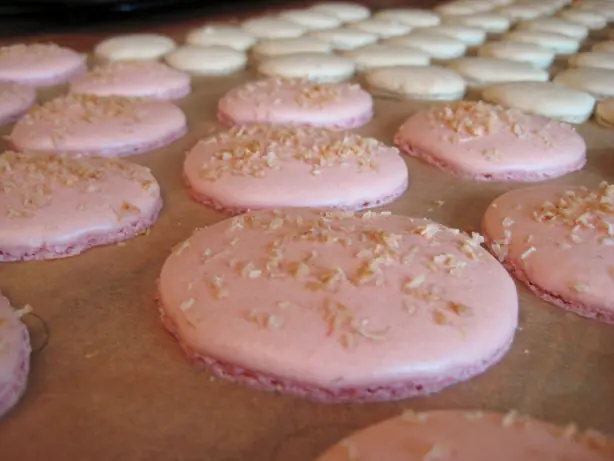 Cook Snap von kochcode-team