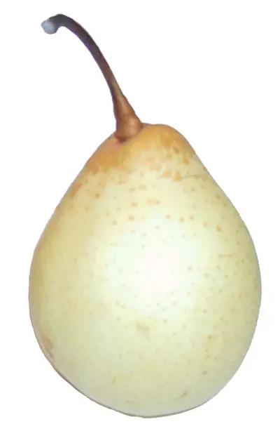 Cook Snap von kochcode-team