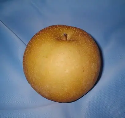 Foto von Koreanisches Baesuk mit Honig – fertig angerichtet