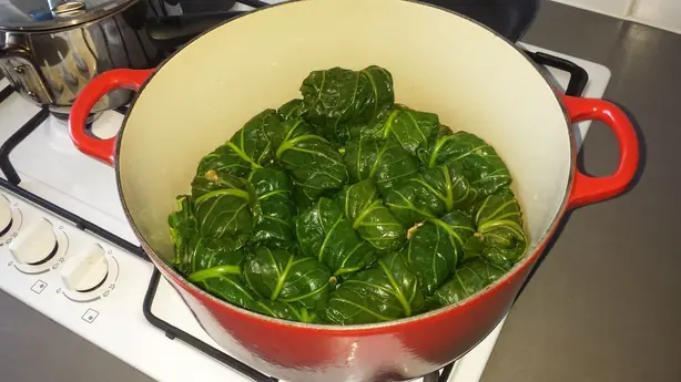 Cook Snap von kochcode-team