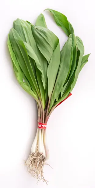 RampBunch – Foto: Ɱ (CC0)