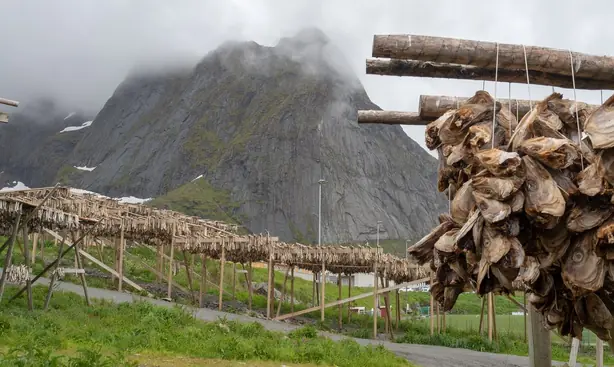 RB 20180620 Reine Lofoten-37 – Foto: Monster4711 (CC0)