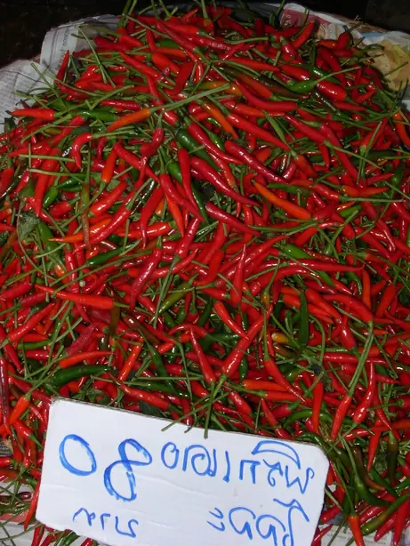 Cook Snap von kochcode-team