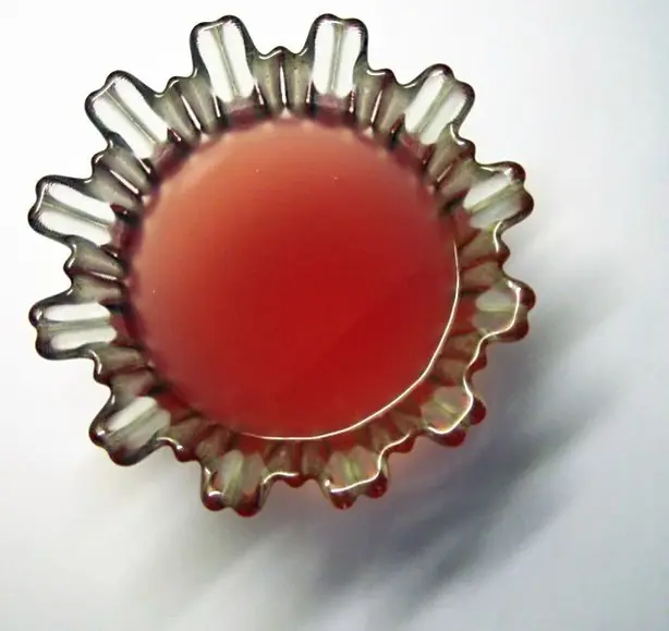 Foto von Russischer Beeren-Kissel Klassisch – fertig angerichtet