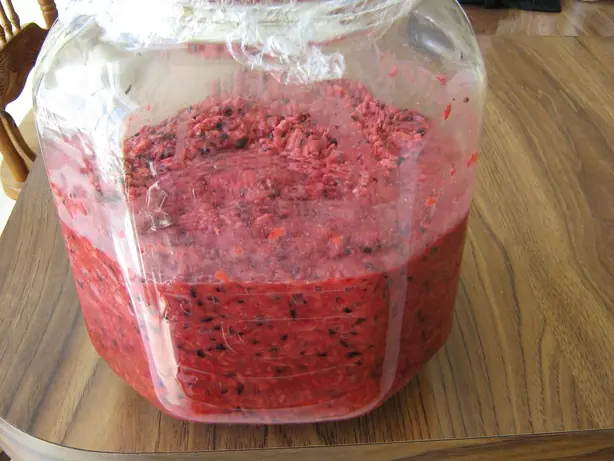 Cook Snap von kochcode-team