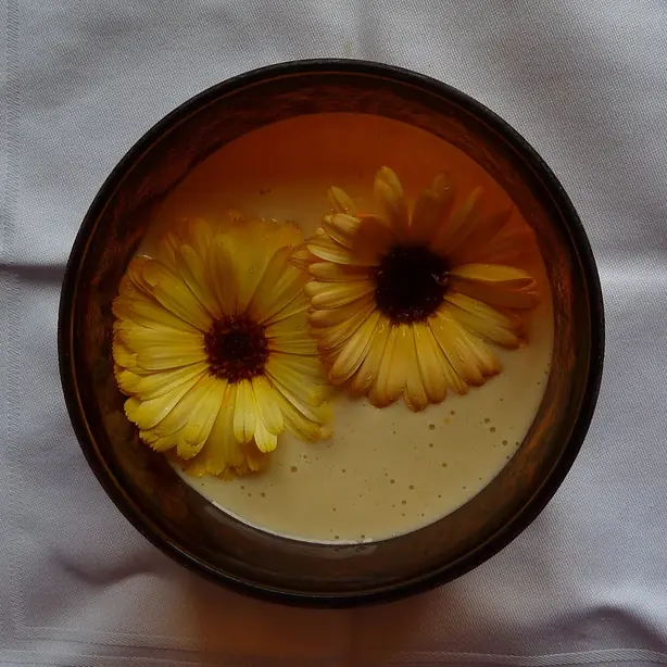 Cook Snap von kochcode-team