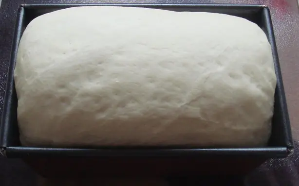 Cook Snap von kochcode-team