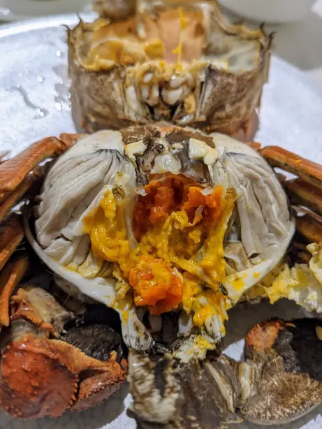 Cook Snap von kochcode-team