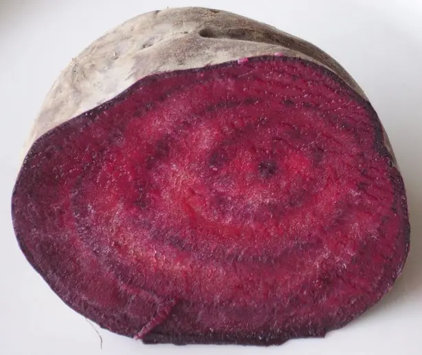 Cook Snap von kochcode-team