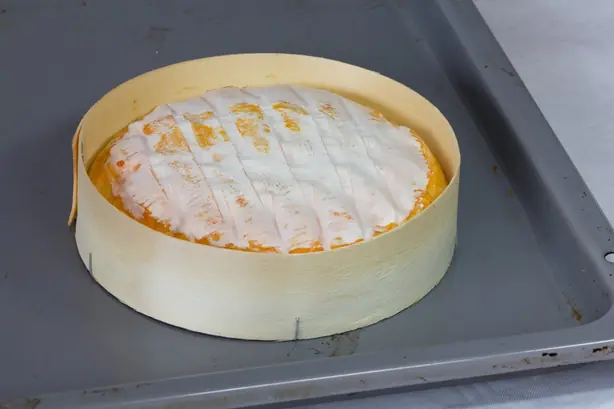 Cook Snap von kochcode-team