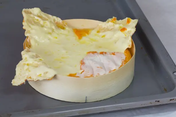 Cook Snap von kochcode-team