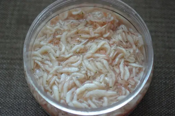 Cook Snap von kochcode-team