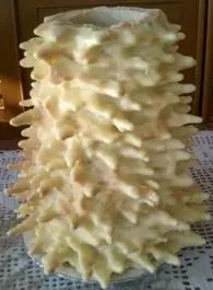 Cook Snap von kochcode-team