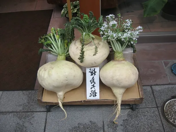 Cook Snap von kochcode-team