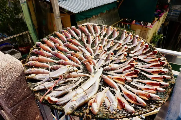 Cook Snap von kochcode-team