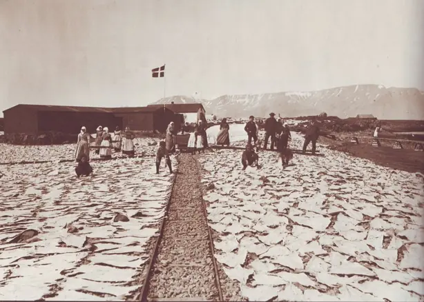 Cook Snap von kochcode-team