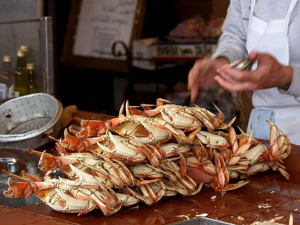 Cook Snap von kochcode-team