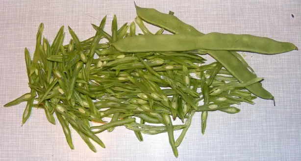 Cook Snap von kochcode-team