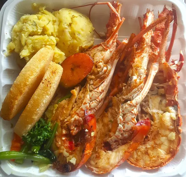 Cook Snap von kochcode-team