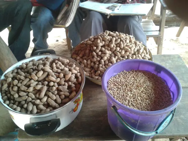 Cook Snap von kochcode-team