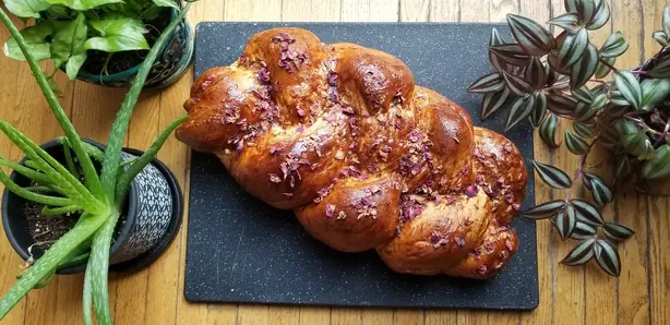 Cook Snap von kochcode-team