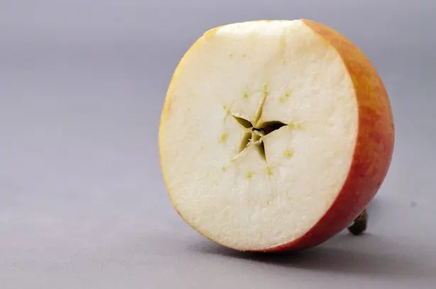 Cook Snap von kochcode-team