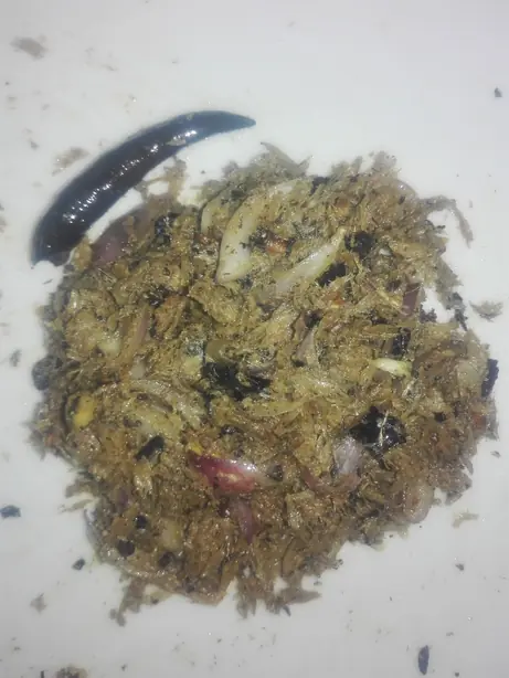 Cook Snap von kochcode-team