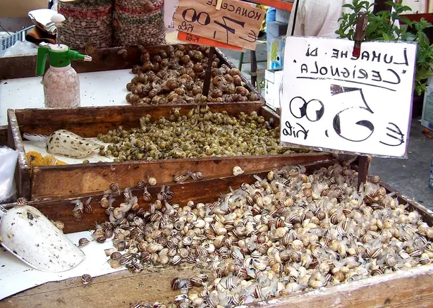 Foto von Klassische Herzmuscheln im Weißweinsud – fertig angerichtet