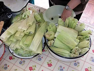 Cook Snap von kochcode-import