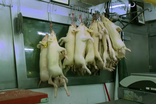 Cook Snap von kochcode-import