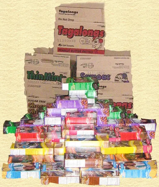 Foto von Hausgemachte Thin Mints – fertig angerichtet