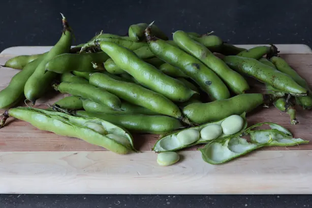 Cook Snap von kochcode-import