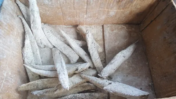 Foto von Keumamah (Ikan Kayu) – Traditionelles Acehnese Thunfisch-Curry – fertig angerichtet