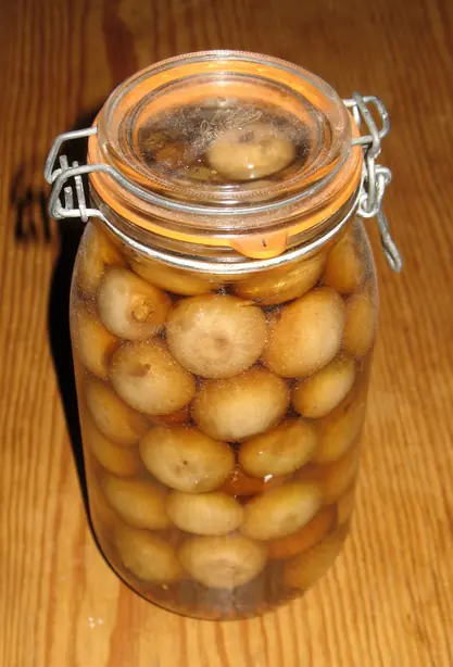 Foto von Klassische Eingelegte Zwiebeln (Pickled Onions) – fertig angerichtet