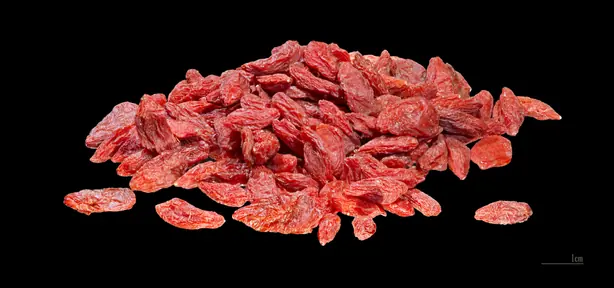 Wikipedia-Bild - Lycium_chinense_MHNT.jpg - Foto: Didier Descouens - CC BY-SA 4.0