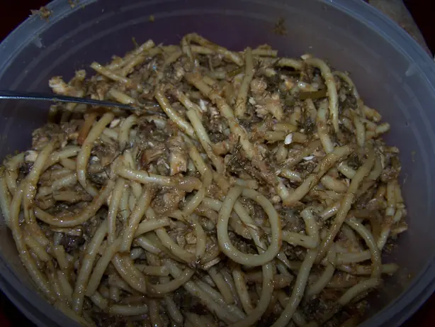 Foto von Pasta con le sarde (Sizilianische Pasta mit Sardinen) – fertig angerichtet